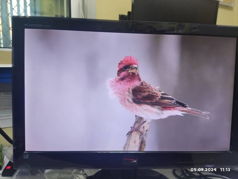 Lg e2340s