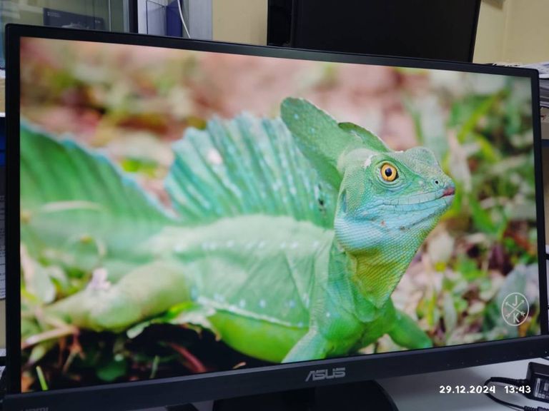 Распродажа Asus vc239h, продавец Техноскарб