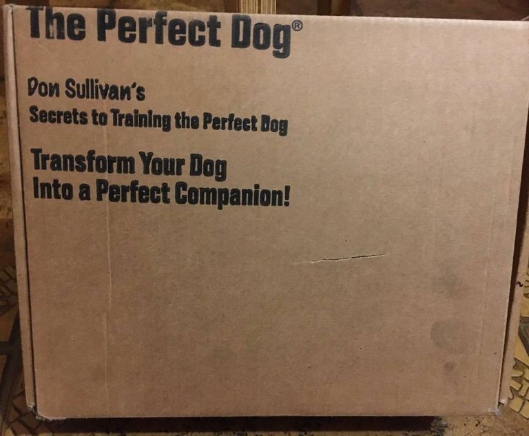 Оголошення Don Sullivan The Perfect Dog (DVD) Б/У