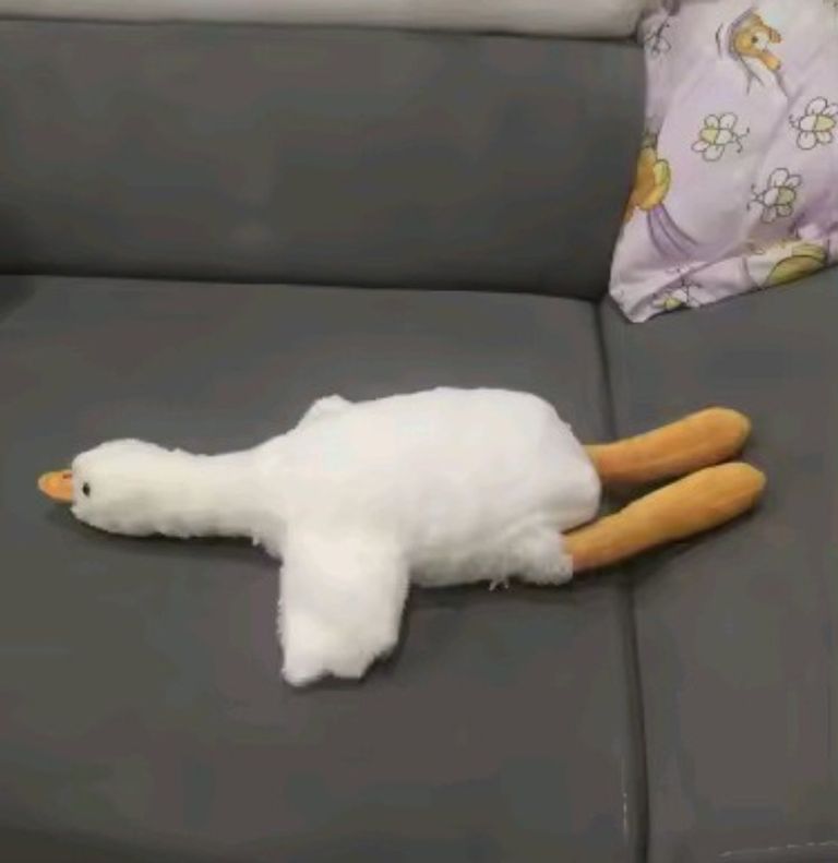 Оголошення гусь-обнімусь Б/У