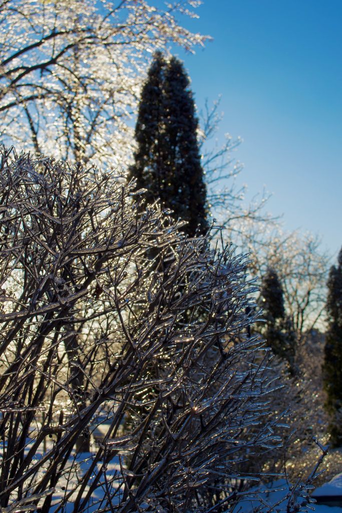 Дешево Nikon D3100 kit (18-55mm VR) (VBA281K001) з ломбарду