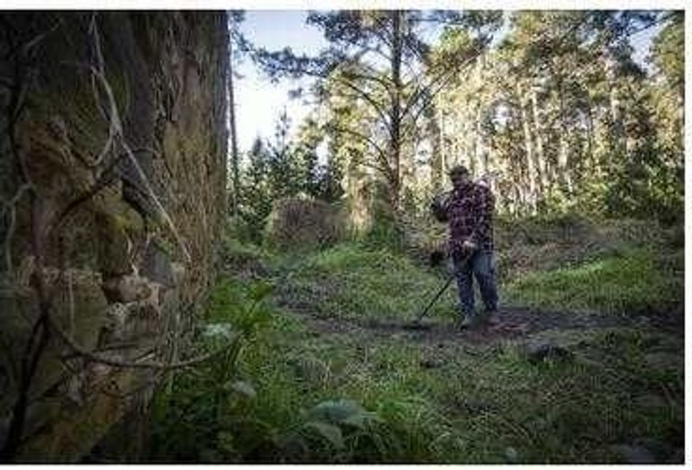 Minelab X-Terra Pro Код:null. Зображення 7