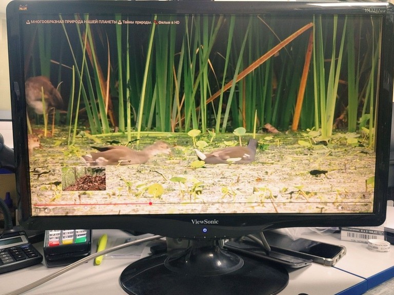 Оголошення Viewsonic va2231wa Б/У