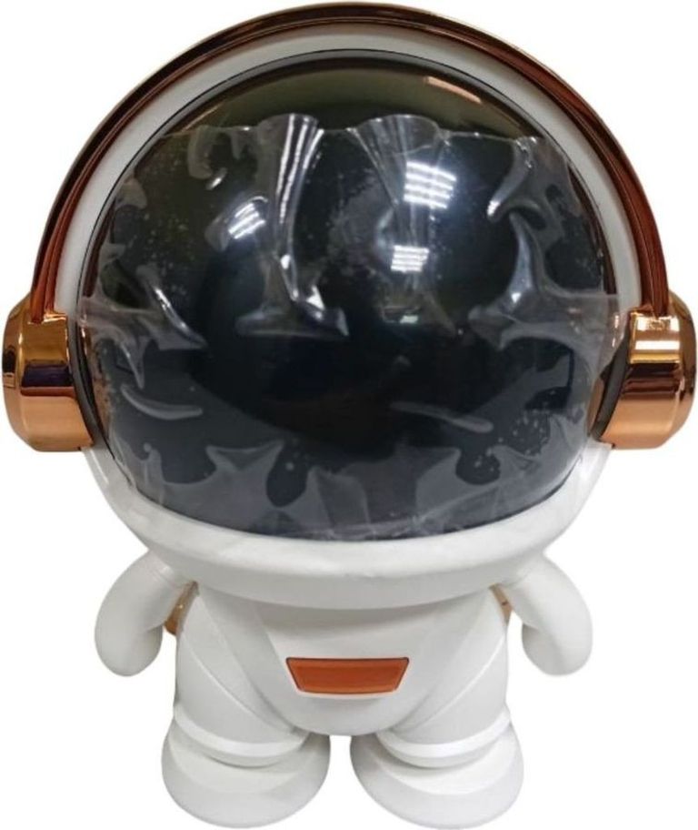 Оголошення Spacerobot k29 Б/У