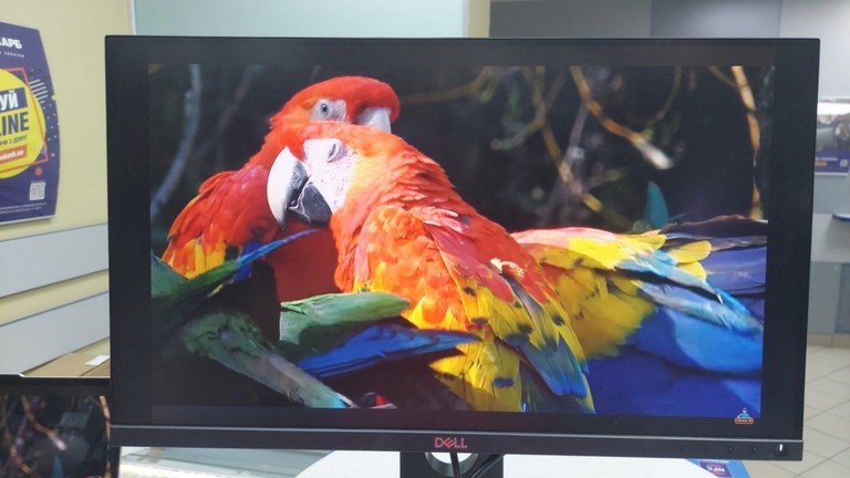 Купити Dell p2418d Б/У