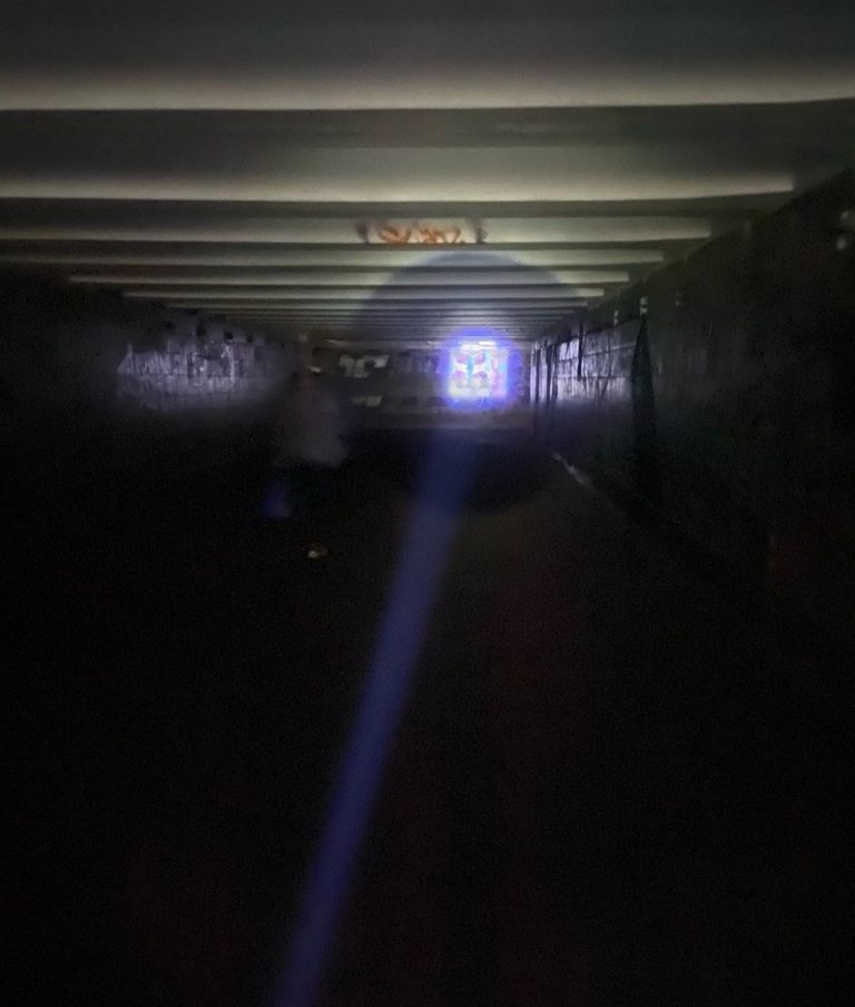 Shustar S-029 Код:null. Зображення 4