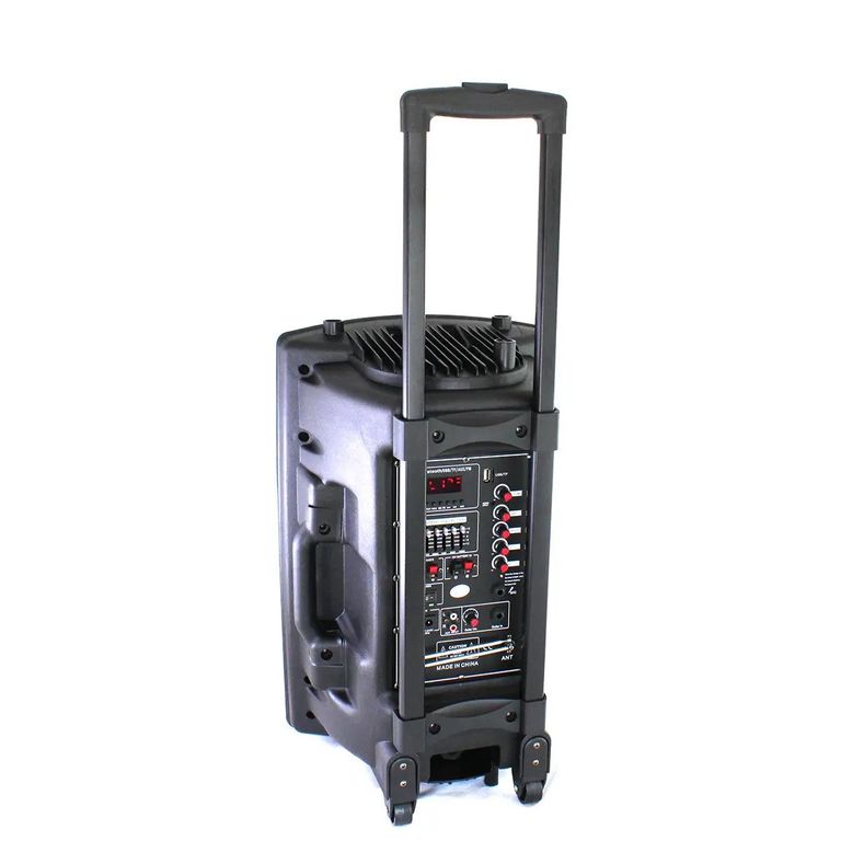 Оголошення Su-Kam BT 120D/212D+ 2 мікрофони 12v\220v Б/У