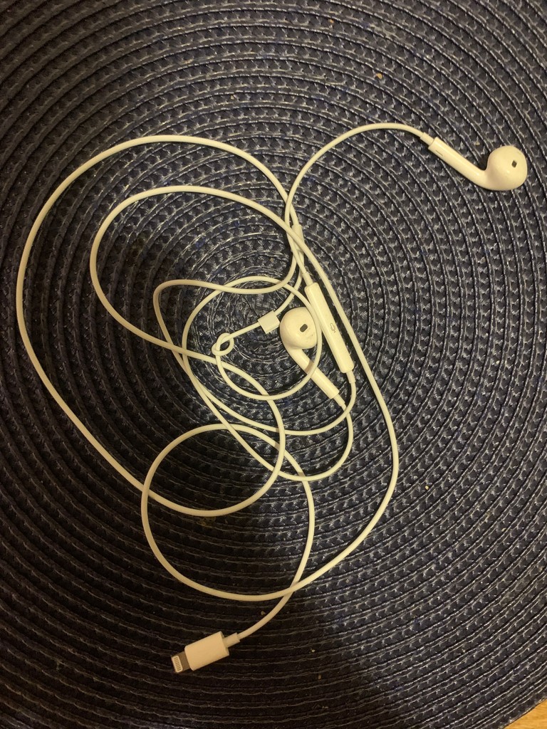 Купити Apple EarPods with Lightning (MWTY3) Б/У