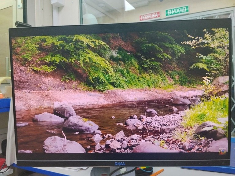 Купить Dell u2415b Б/У