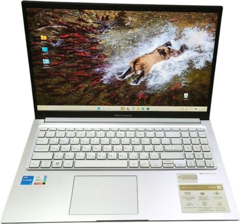 Купить Asus 15/core i5-1335u ddr5/16gb ddr5/hdd *відсутній/ssd 512 gb/*інтегрована Б/У