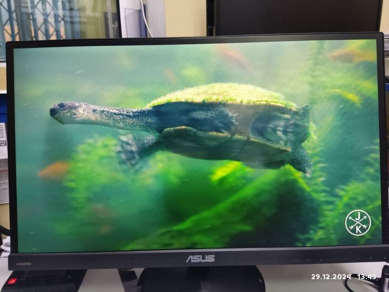 Asus vc239h Код:01-200368693. Изображение 5