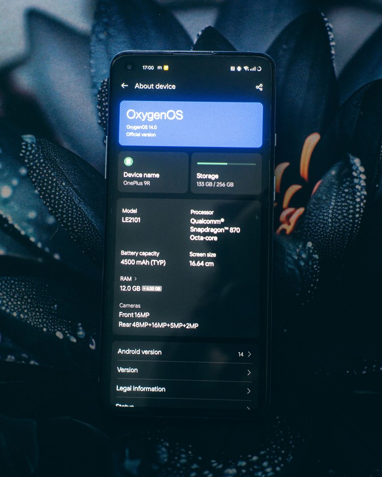 Oneplus 9R 12/256GB Lake Blue Код:null. Зображення 5