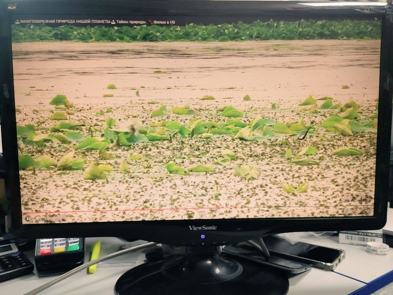 Дешево Viewsonic va2231wa з ломбарду