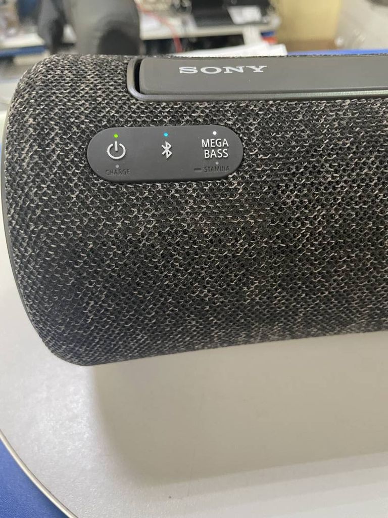 Sony srs-xg300