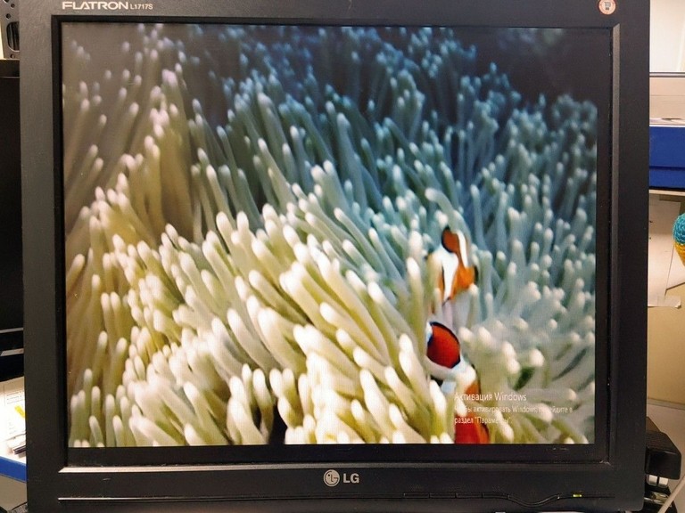 Купити Lg l1717s Б/У