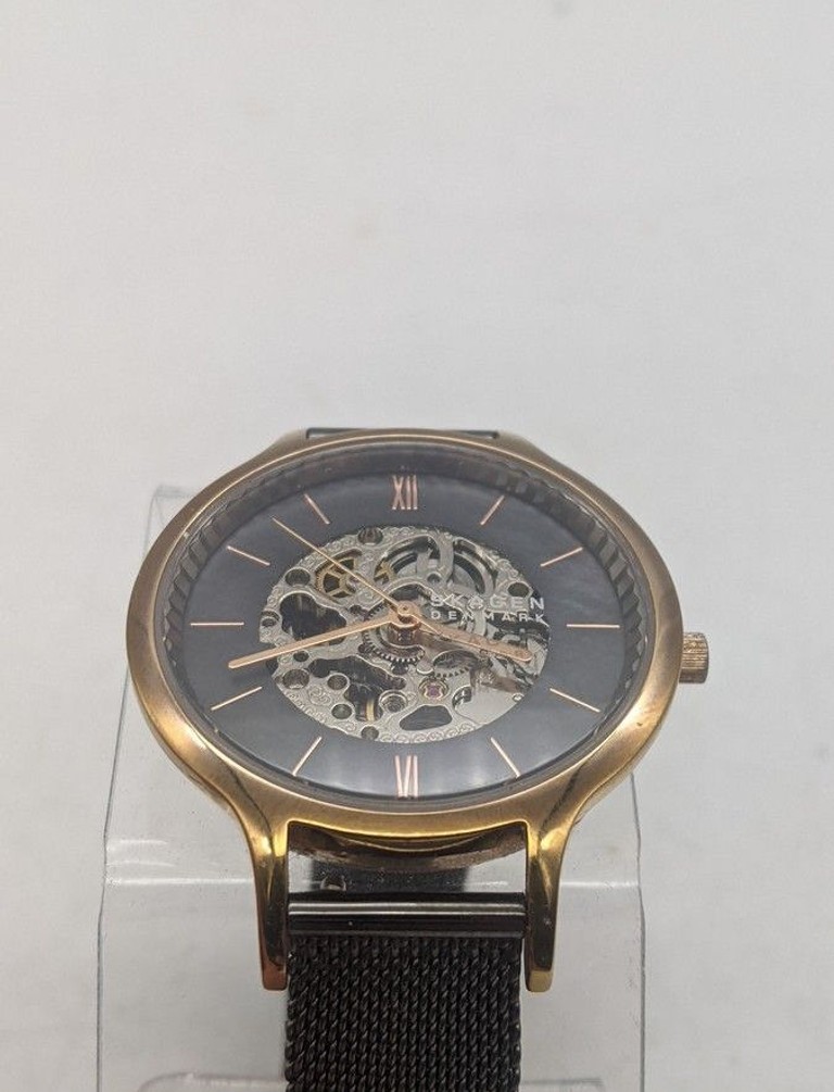 Дешево Skagen skw2998 з ломбарду
