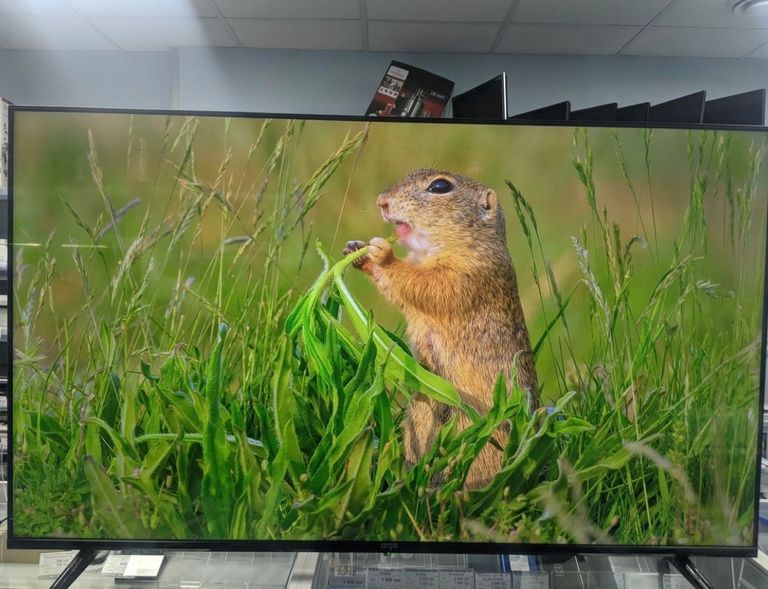 Дешево Ergo 55DUS6000 з ломбарду