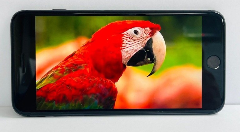 Apple iphone 8 plus 128gb Код:01-200954959. Зображення 10