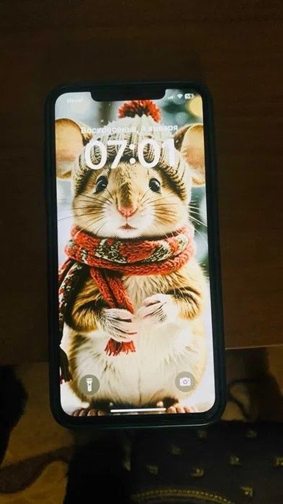 Купить Apple iPhone Xs Max Б/У