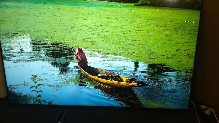 Купить Sony KD 55X80K Б/У