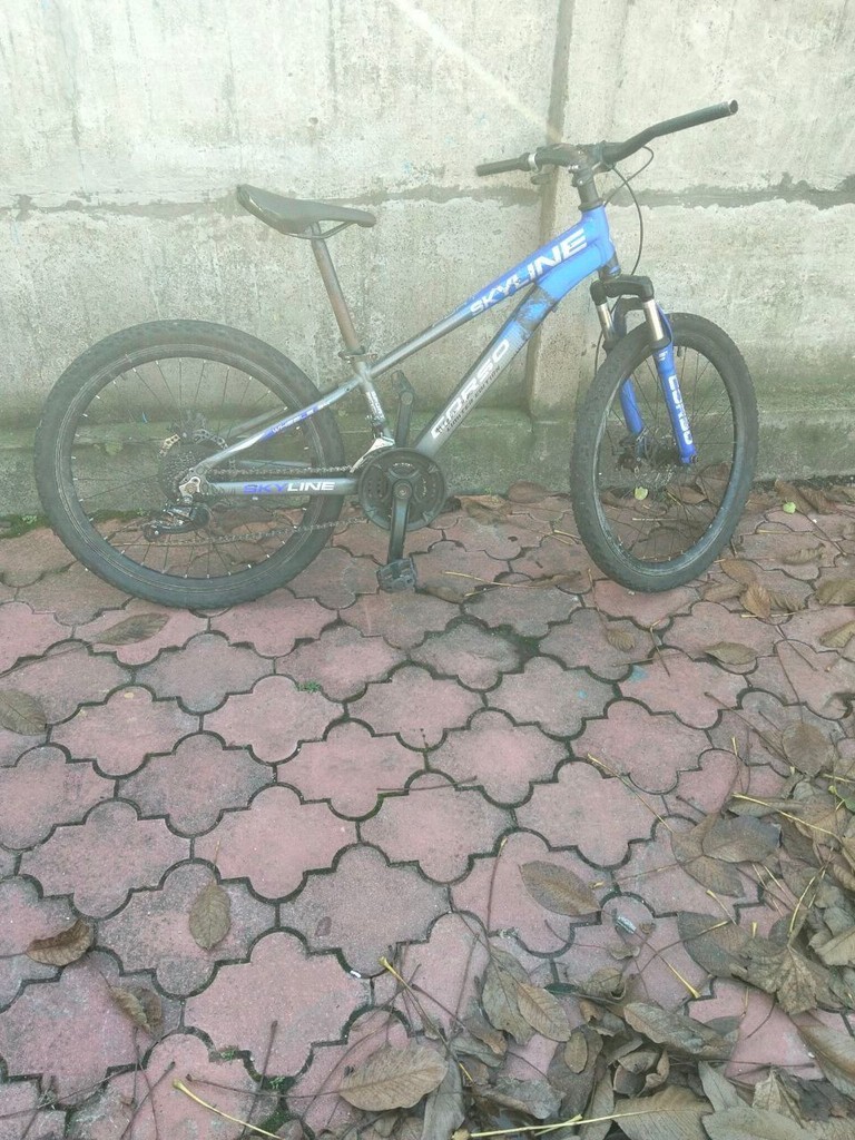 Купить Corso SkyLine 24" / рама 11" синій (SL-40602) Б/У
