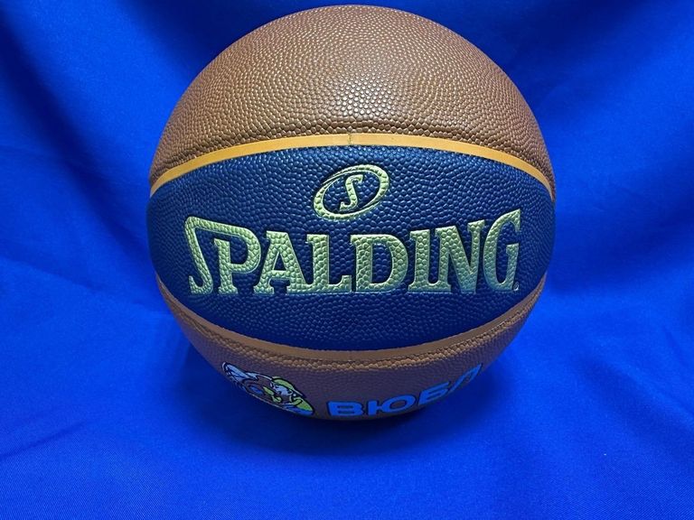 Купити Spalding fbu size 6 Б/У