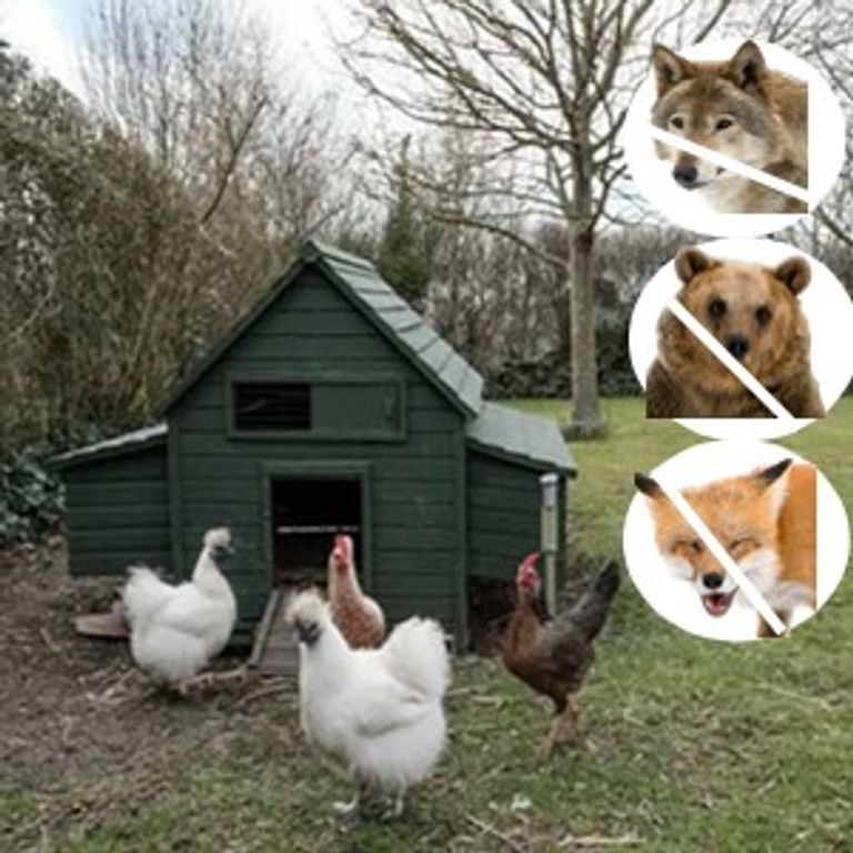 Акція! Автоматичні двері для курки на сонячній енергії, металеві рулонні завіси для курки з таймером для курки, качки, птиці, ві Код:null. Изображение 6