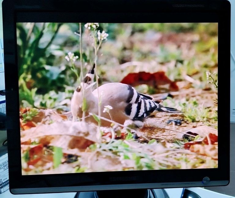 Объявление Samsung 931c Б/У