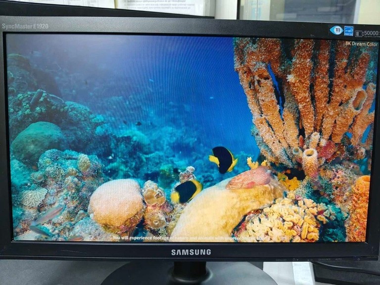 Купить Samsung e1920 Б/У