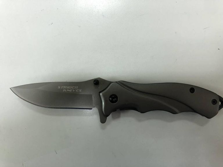 Купити Strider 313 Б/У