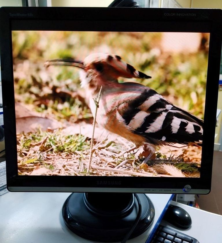 Дешиво Samsung 931c с ломбарда