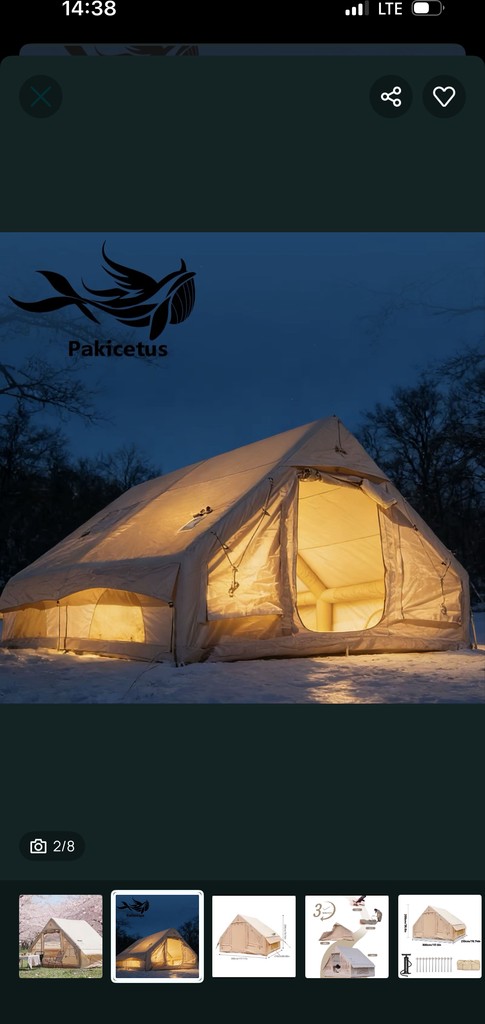 Pakicetus Код:null. Изображение 6