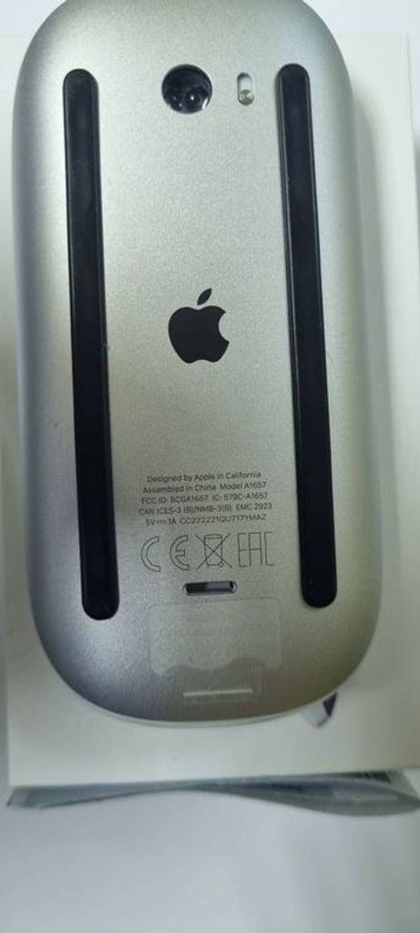 Apple magic mouse 2