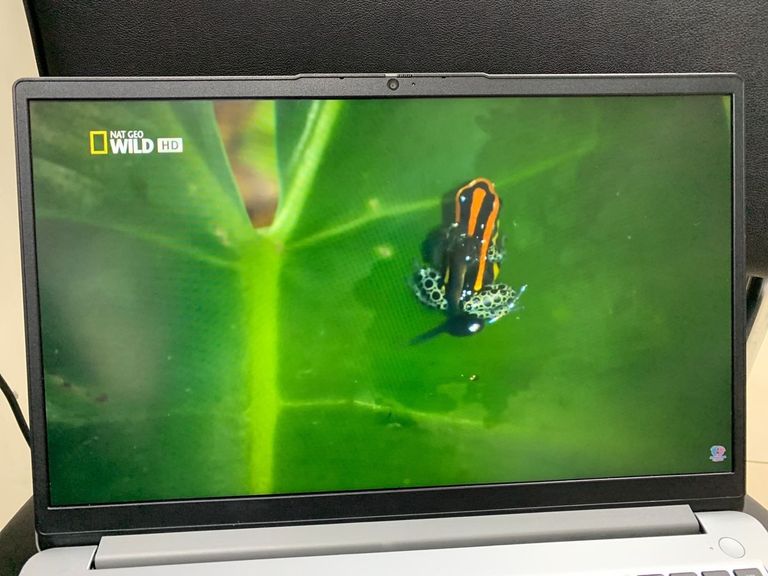 Lenovo 15/ryzen 5 5500u ddr4/8gb ddr4/hdd *відсутній/ssd 512 gb/*інтегрована Код:01-200835386. Зображення 9