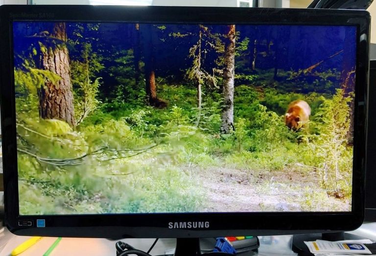 Оголошення Samsung s19a100n Б/У