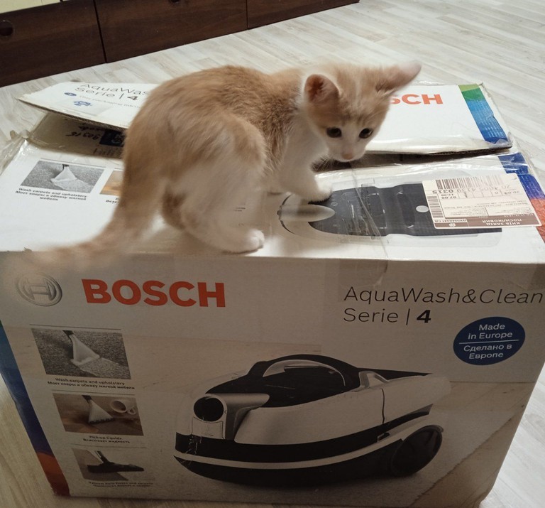 Оголошення Пилосос Bosch Aquawash & clean series 4 Б/У