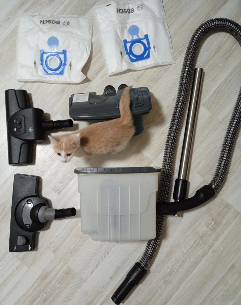 Пилосос Bosch Aquawash & clean series 4 Код:null. Зображення 6