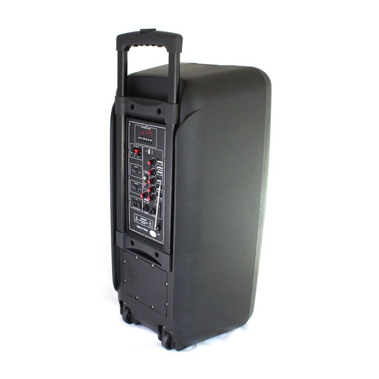 Дешево Портативна колонка Su-Kam 1010 + 2 мікрофони + BT 12v220v з ломбарду