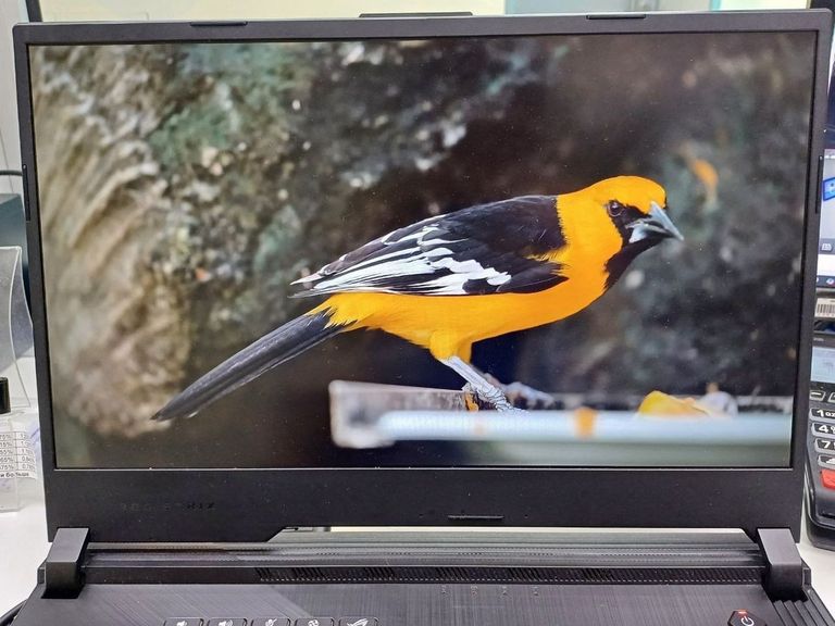 Asus 15/core i7 9750h ddr4/16gb ddr4/hdd *відсутній/ssd 512 gb/geforce gtx1650 4gb Код:01-200520452. Изображение 14