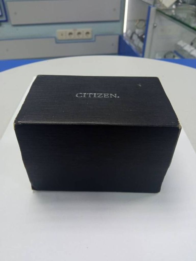 Citizen pro master dive