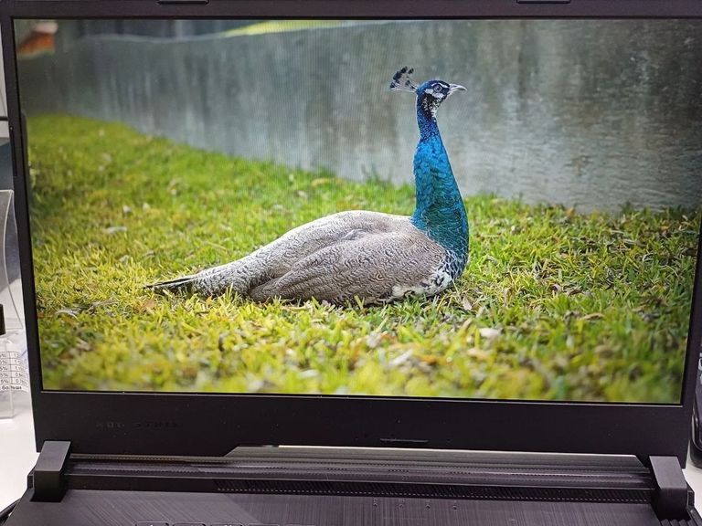 Asus 15/core i7 9750h ddr4/16gb ddr4/hdd *відсутній/ssd 512 gb/geforce gtx1650 4gb Код:01-200520452. Изображение 15