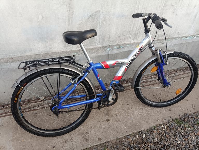 Купить Pegasus Polizei 2009 Б/У