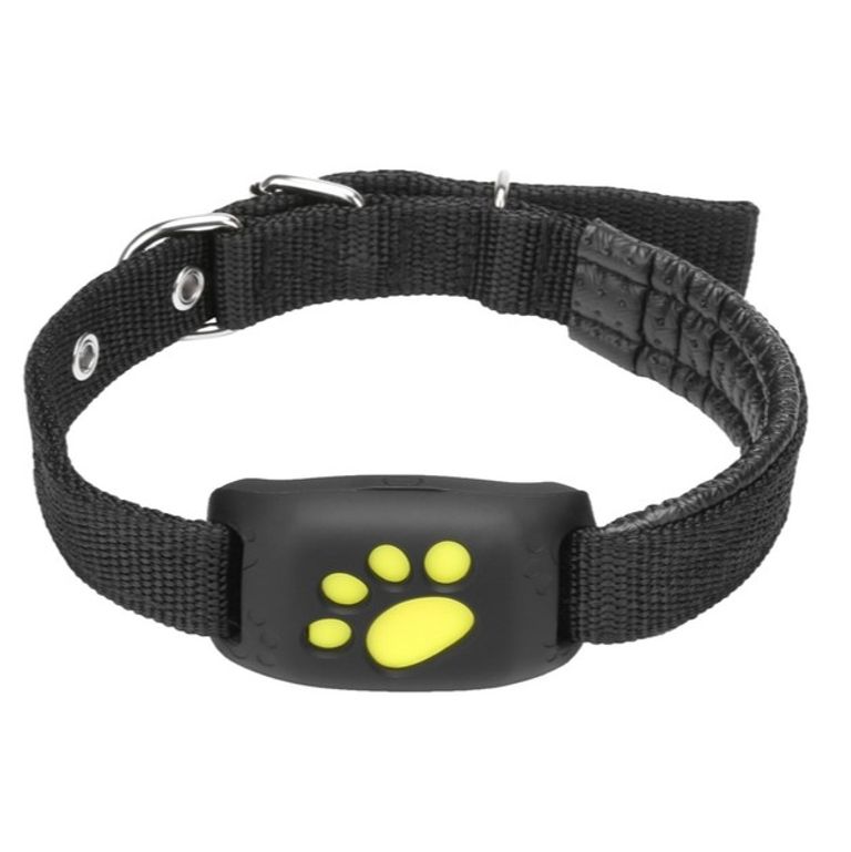 Купить GPS collar Z8 (Чорний) Б/У