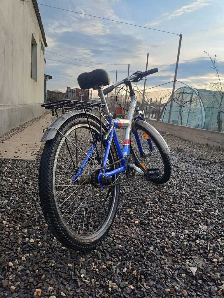 Pegasus Polizei 2009 Код:null. Изображение 5