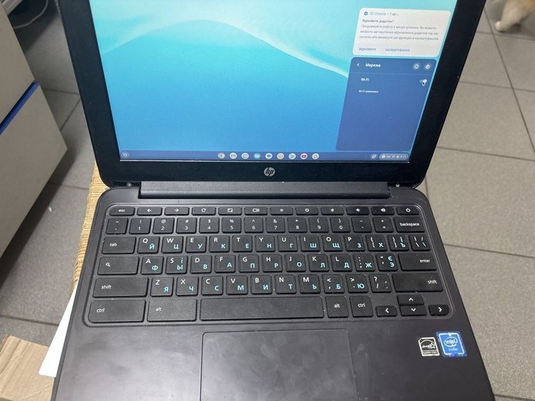 Купить HP Multi-Touch Chromebook 11 G8 Education Edition (428G5UT) Б/У