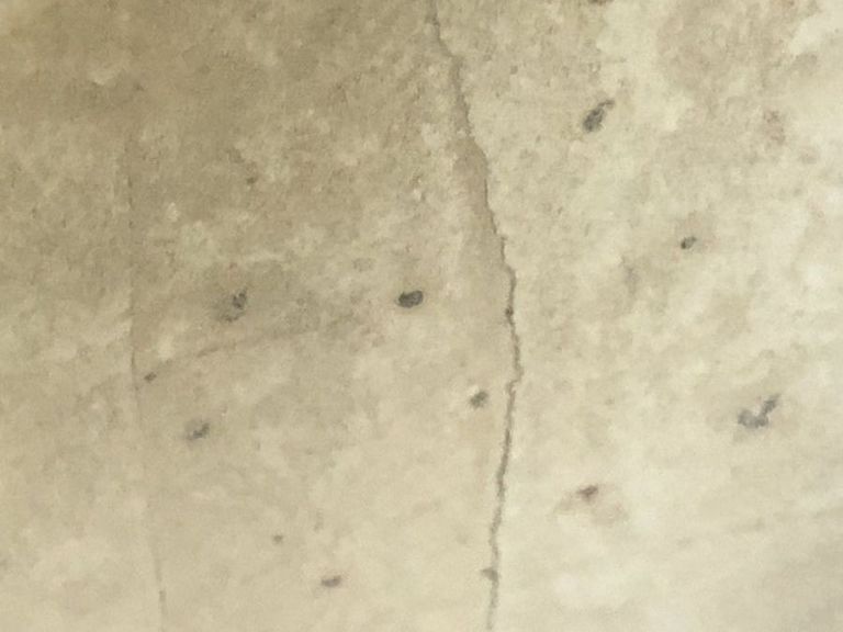 Stihl BR 350 (42440111600) Код:01-200778169. Изображение 5