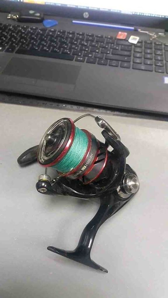 Daiwa Ninja LT 2500-XH (10219-256)