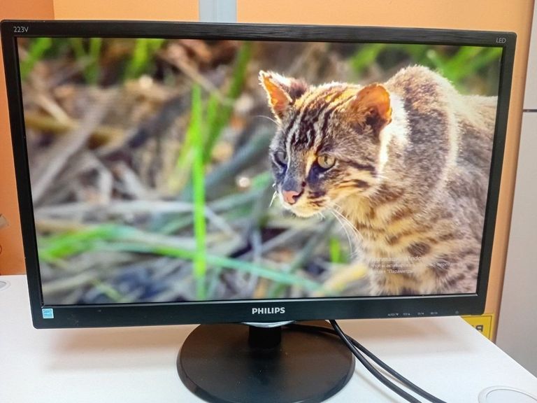 Дешиво Philips 223v5l с ломбарда