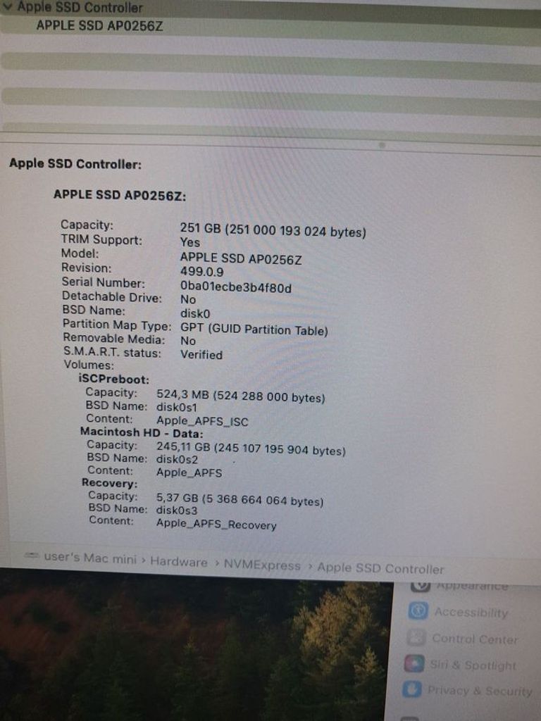 Apple mac mini a2686 mmfj3 m2/8core/ram 8gb/ssd256gb Код:01-200603222. Зображення 7