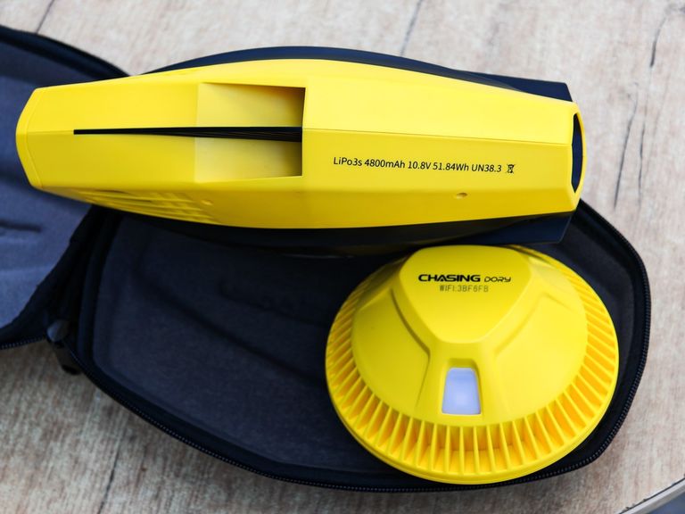 CHASING Dory Код:null. Изображение 6